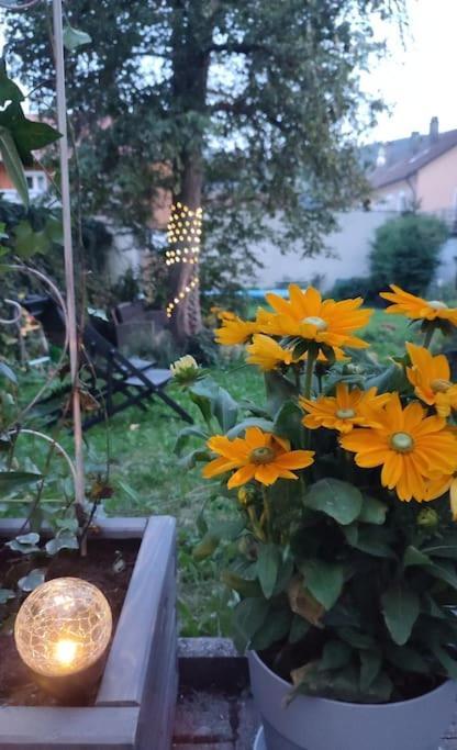 アルプシュタットStilvoll Und Gemuetlich - Wohnen Mit Flairアパートメント エクステリア 写真